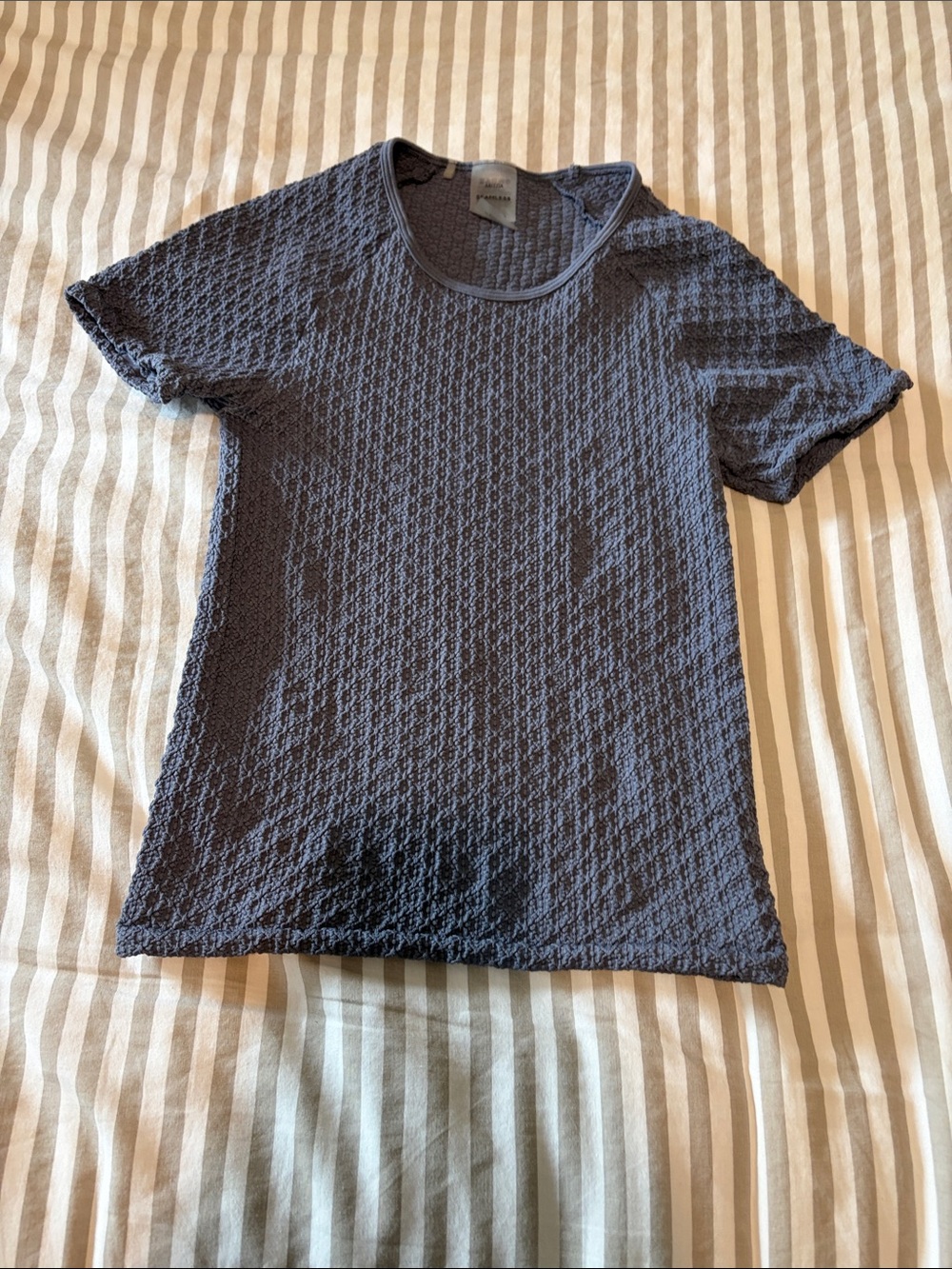 Aritzia Textured Short Sleeve Tunic - Blue Gray